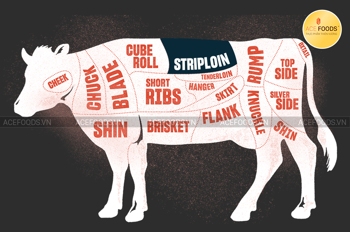 Sơ đồ minh họa vị trí thăn lưng bò Tây Ban Nha 