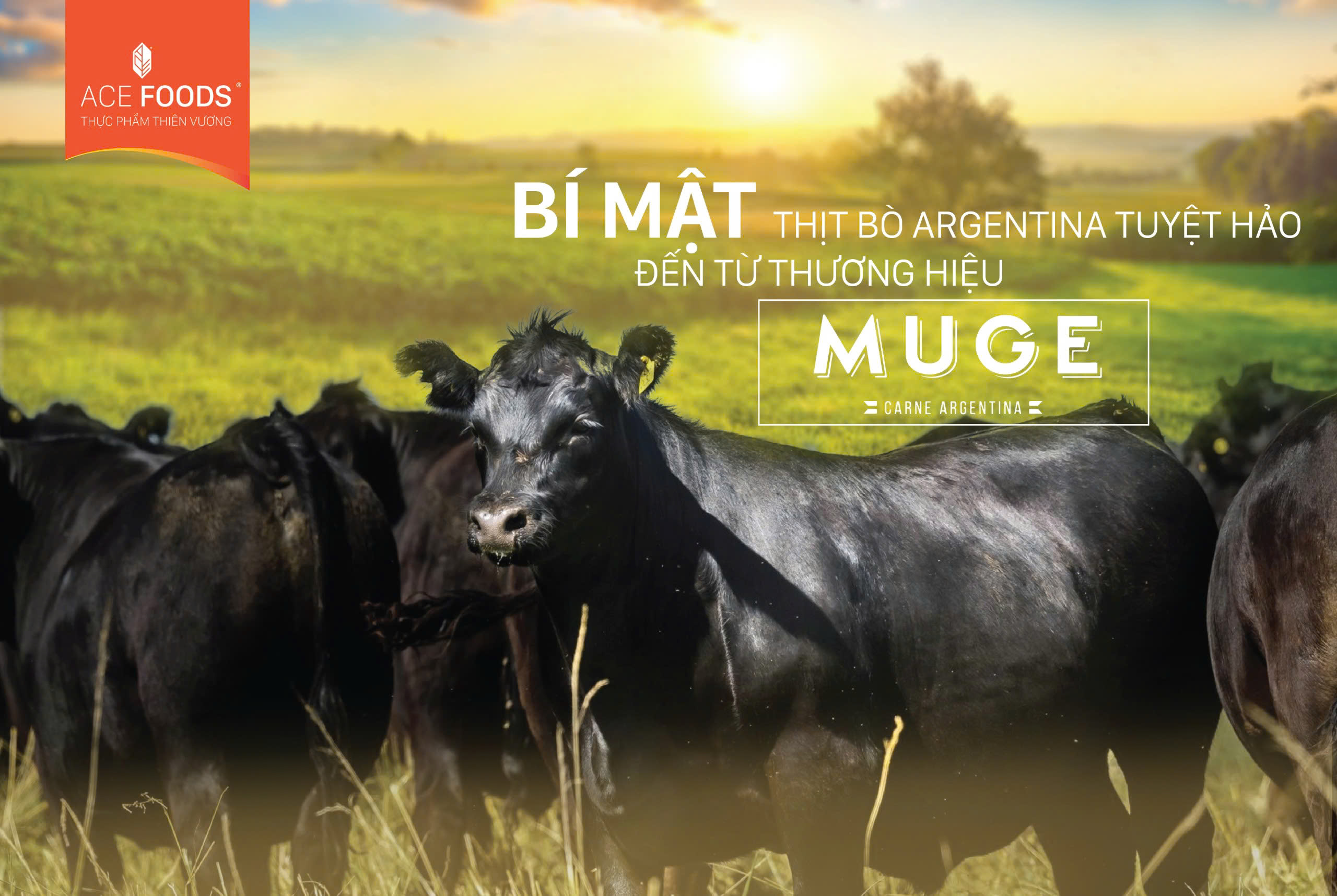 Bí mật thịt bò Argentina tuyệt hảo đến từ thương hiệu MUGE