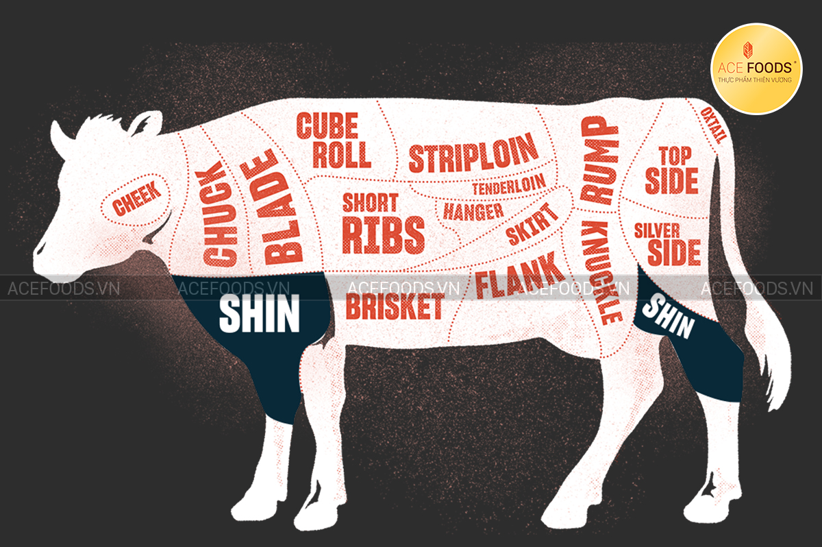 Sơ đồ minh họa vị trí bắp bò Tây Ban Nha